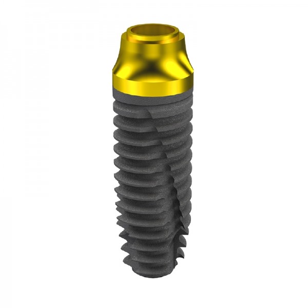 4913084ILWide_TTKc28_web.png