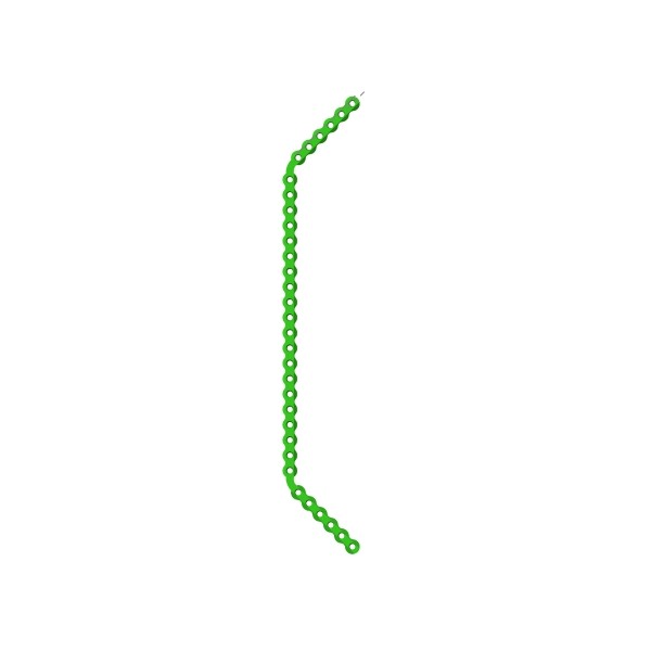 PLACCA-12.png